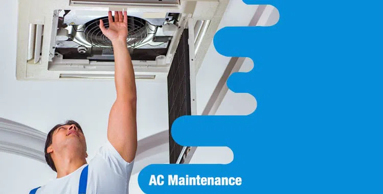 #bslide2 logo-image - banner-2